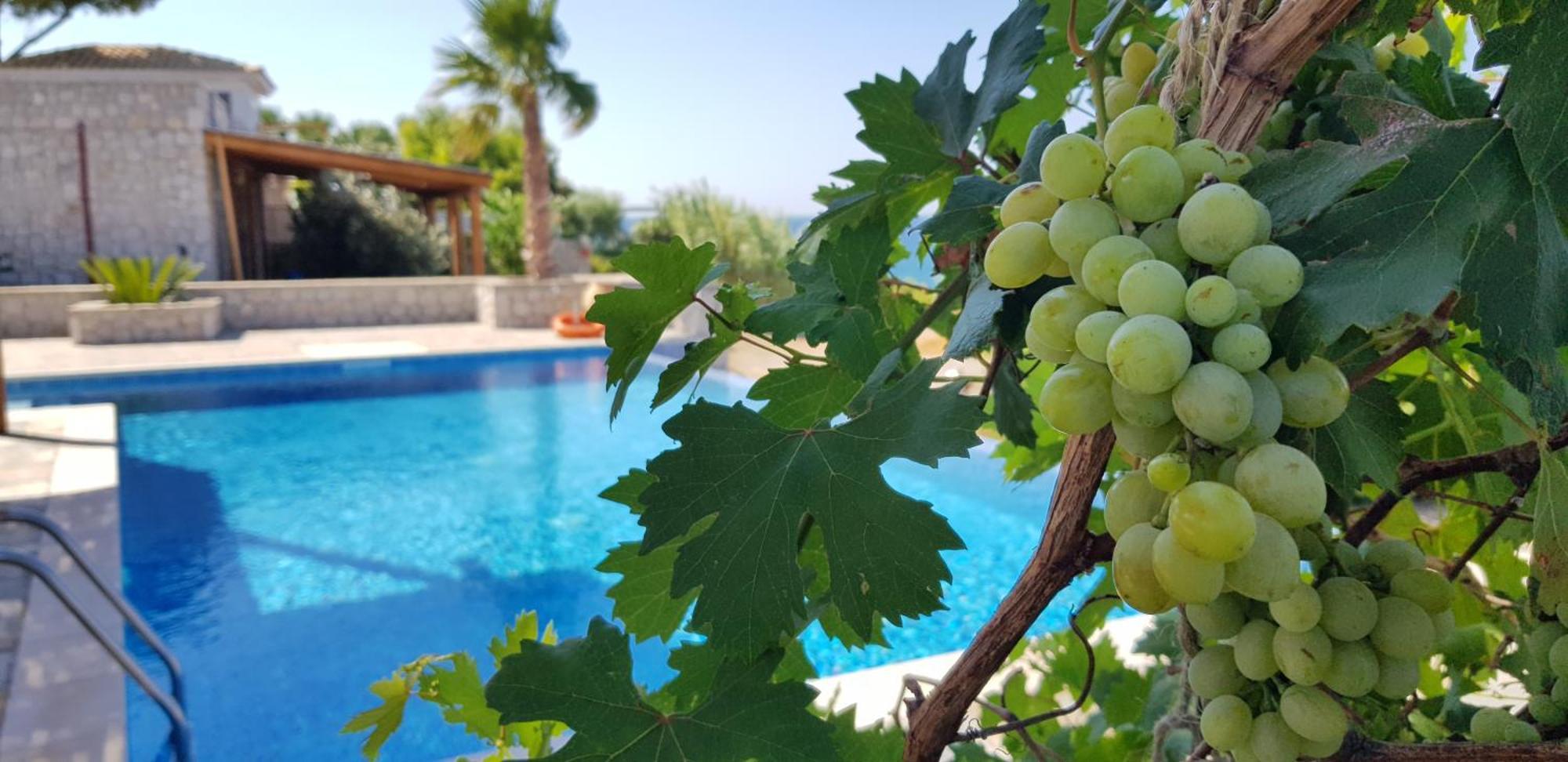 Villa Sealine Pefki Habitación foto